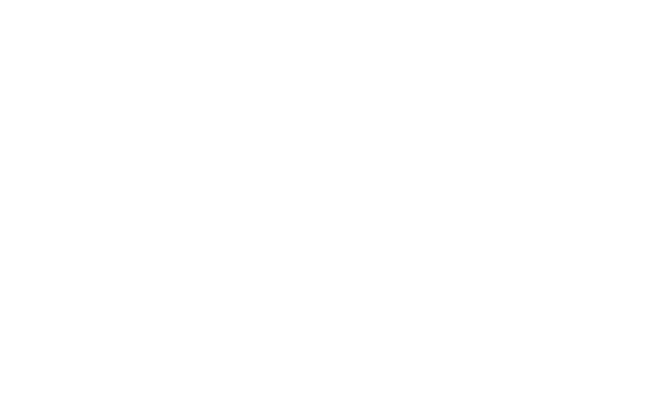 Logo tokko
